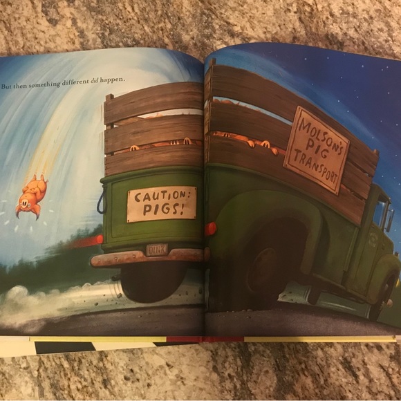 A Piglet Named Mercy by Kate DiCamillo (illustrated by Chris Vandusen - Picture 6 of 8